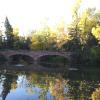 Varsity Pond