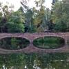 Varsity pond