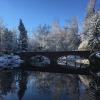 varsity bridge