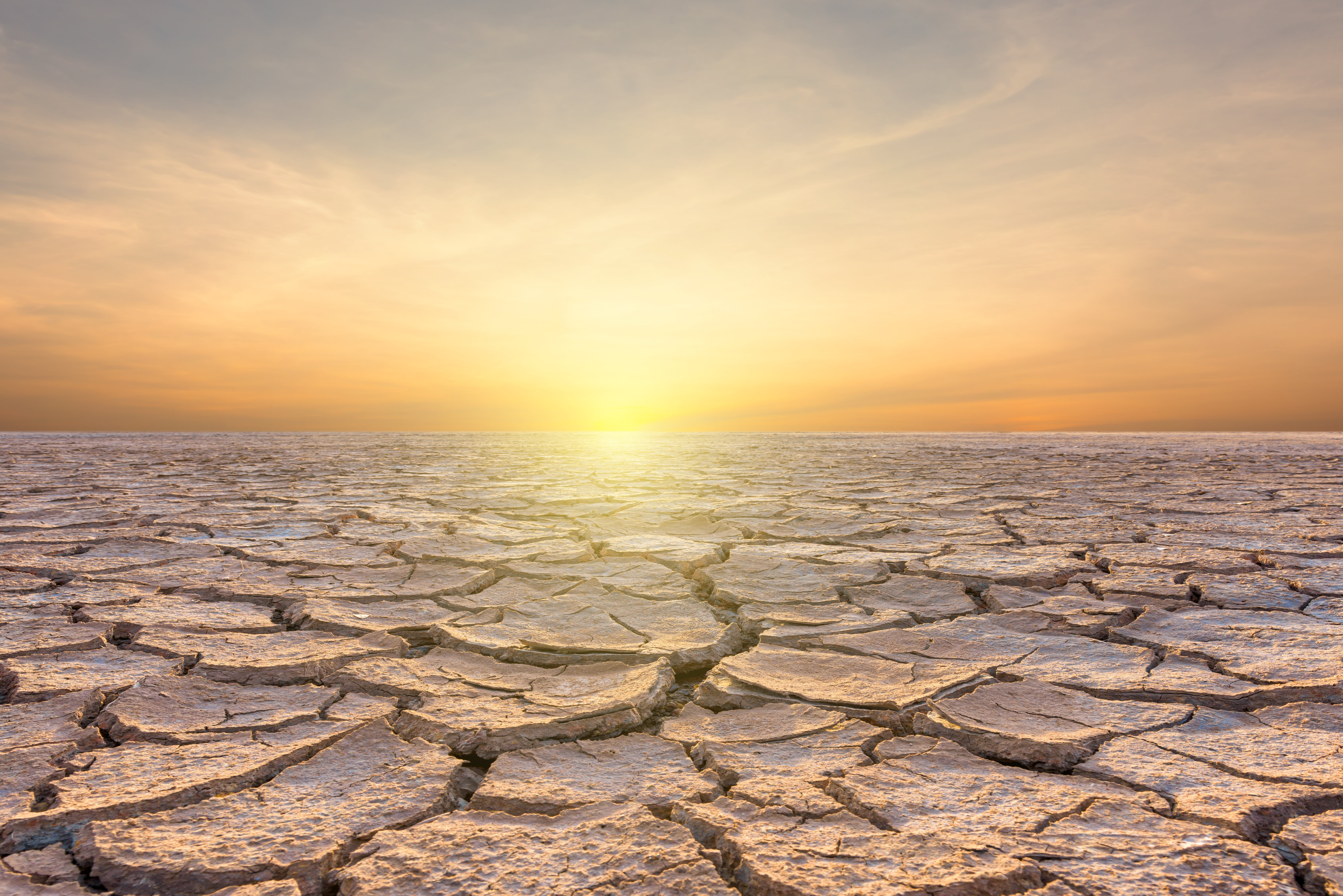 6 tips for coping with climate anxiety
