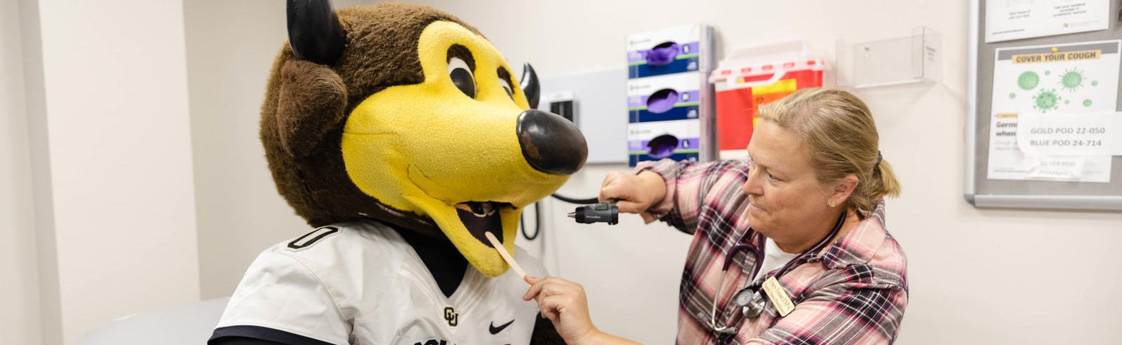 Chip getting evaluated by a health center professional