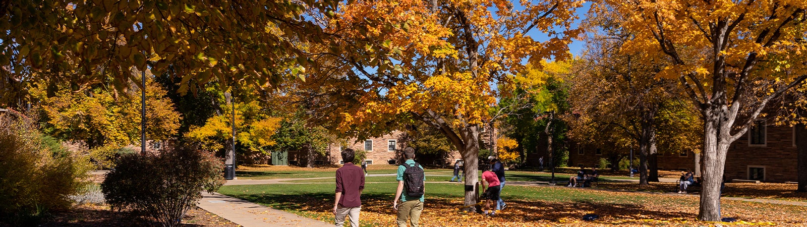 Fall on campus
