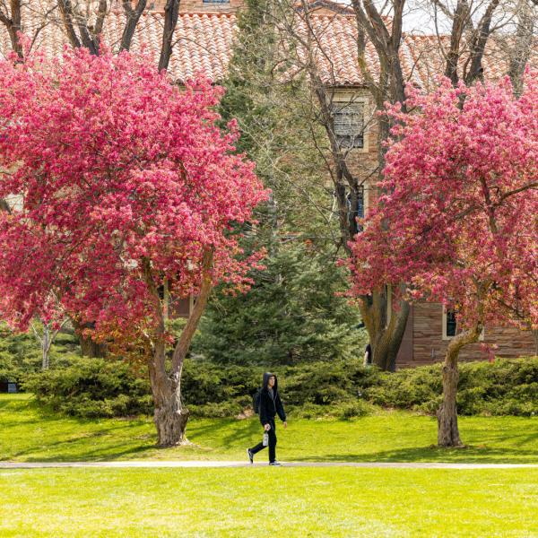 4 spring break wellness tips | Health & Wellness Services