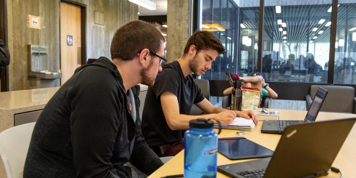Two students studying