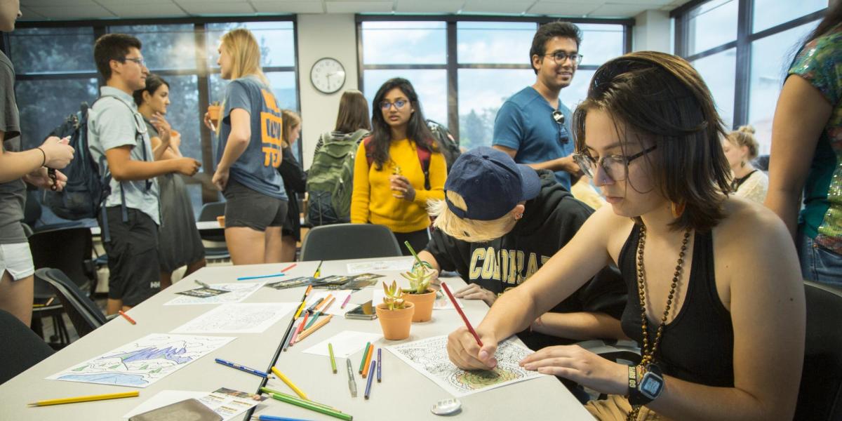 Students doing activities together
