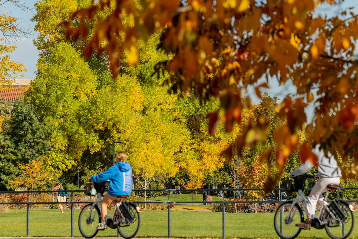 A campus scenic