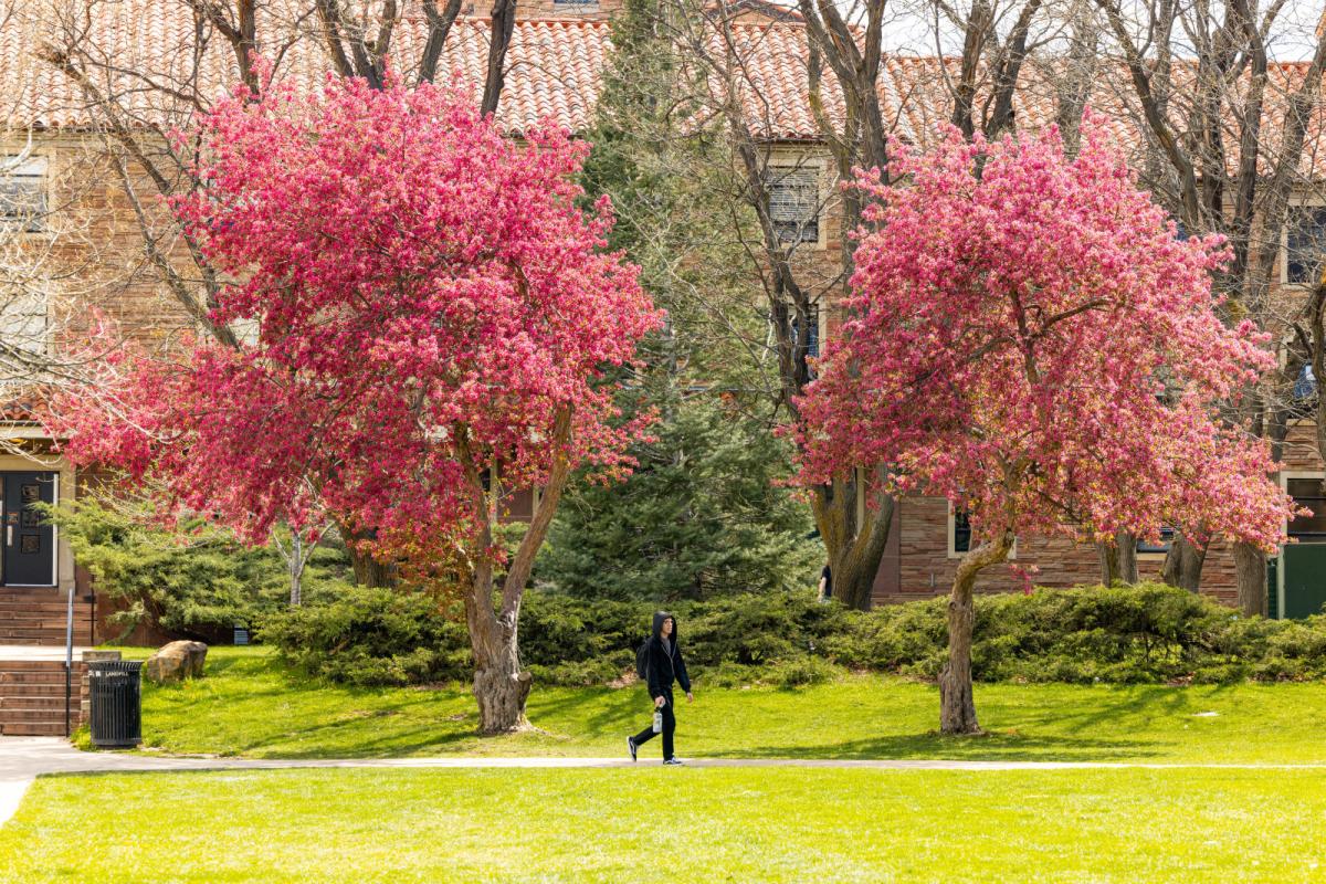Spring on campus