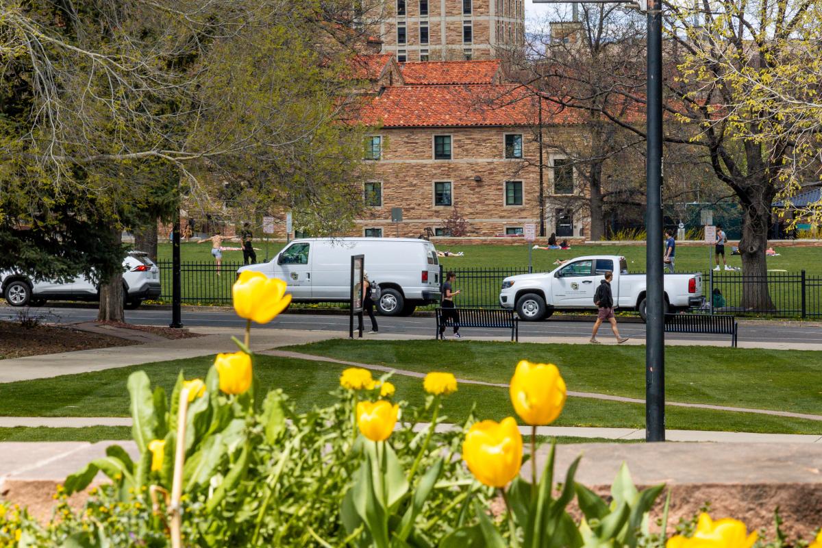 Campus Scenic