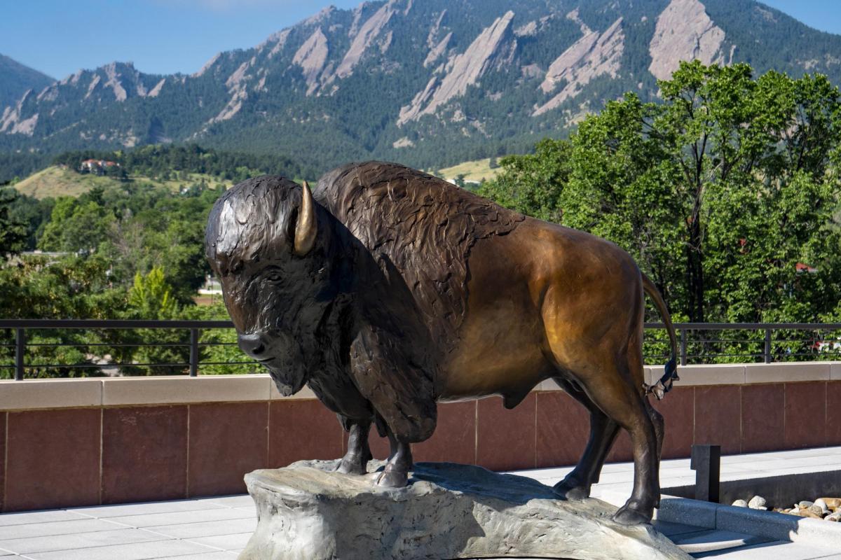 statue of ralphie the buffalo