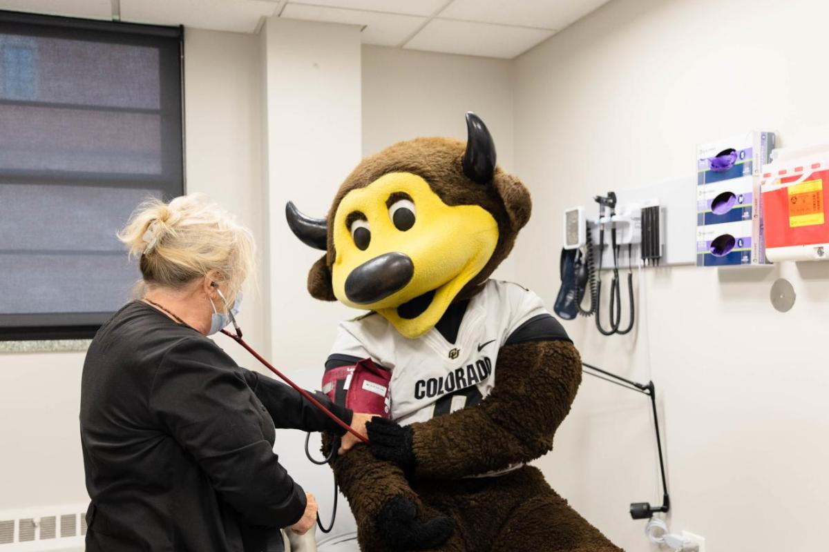 photo of chip getting a checkup at medical services.