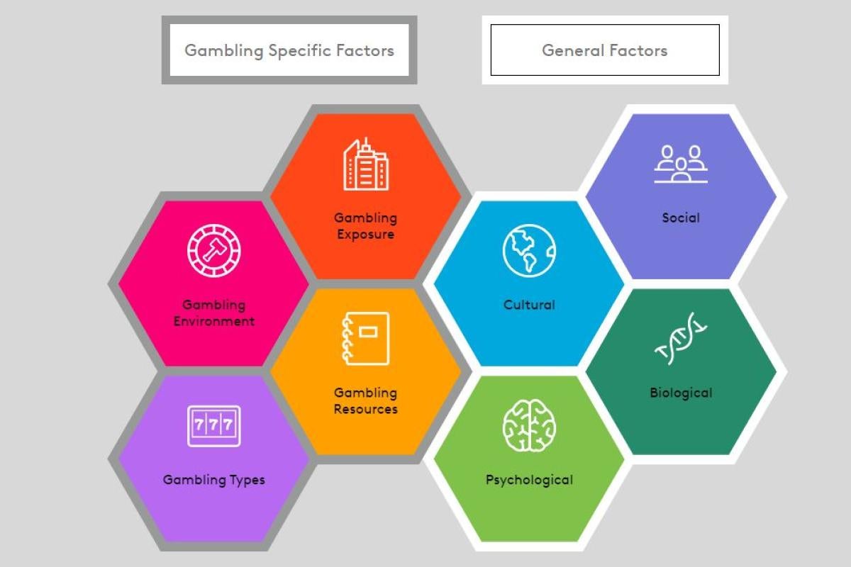 Conceptual framework