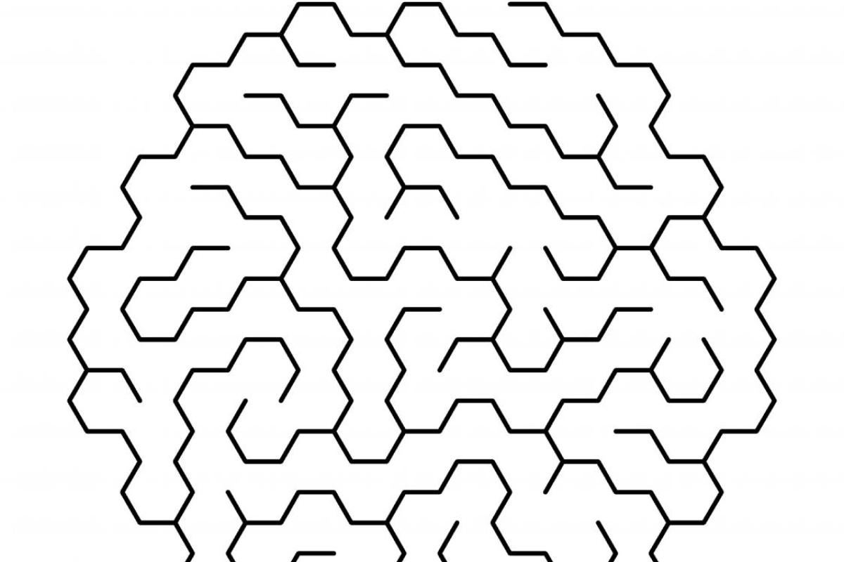 Brain shaped puzzle maze