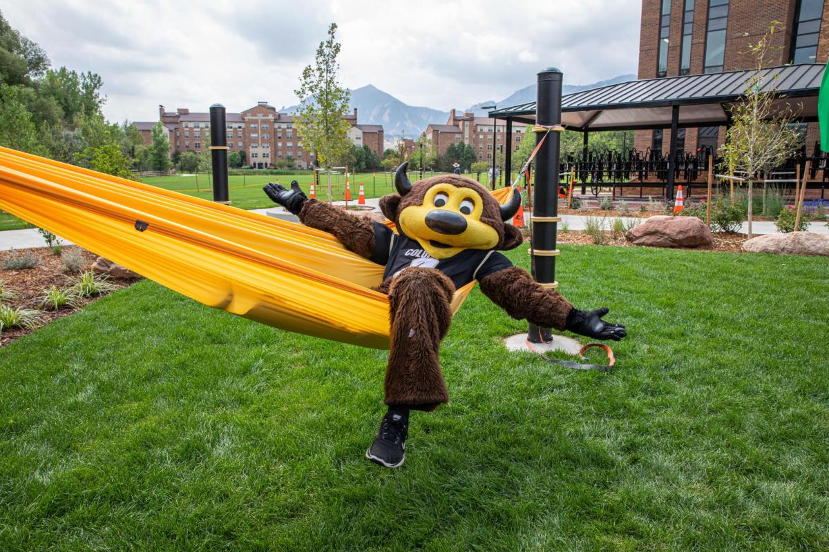 chip, the buffalo mascot, laying in a hammock