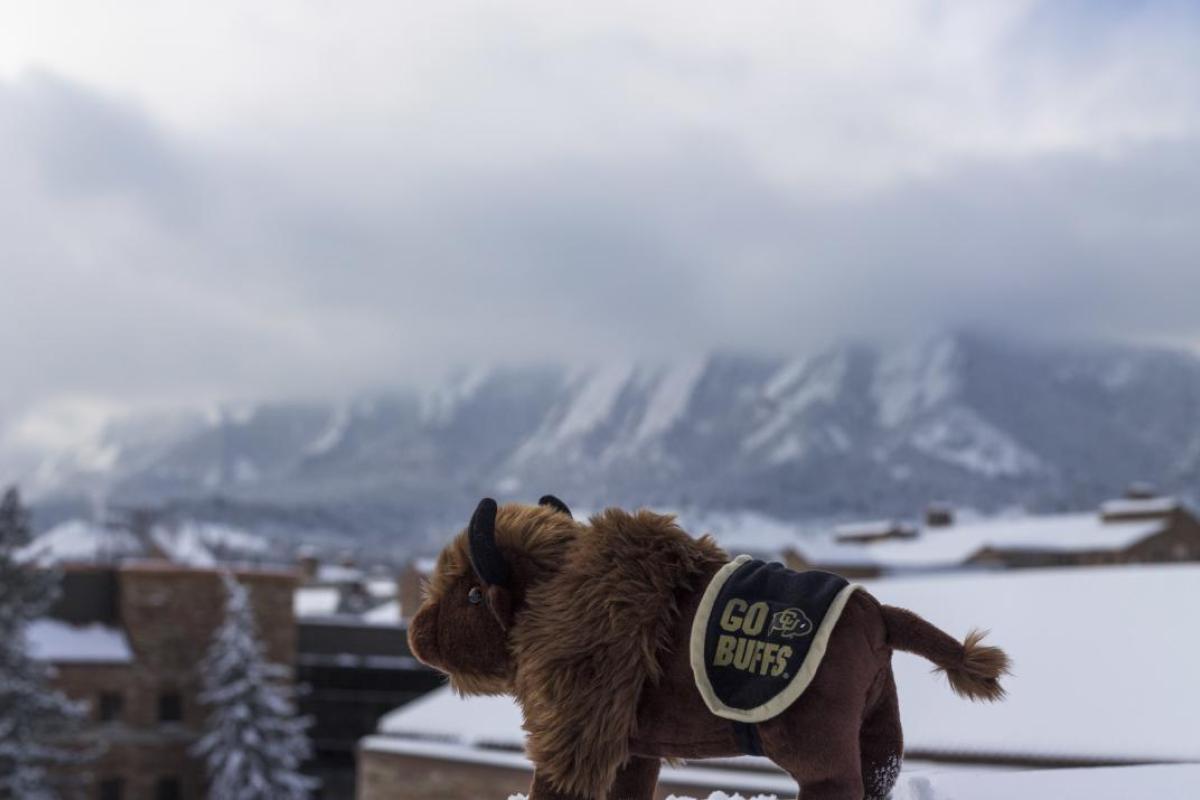 Ralphie doll on top of a snowy roof