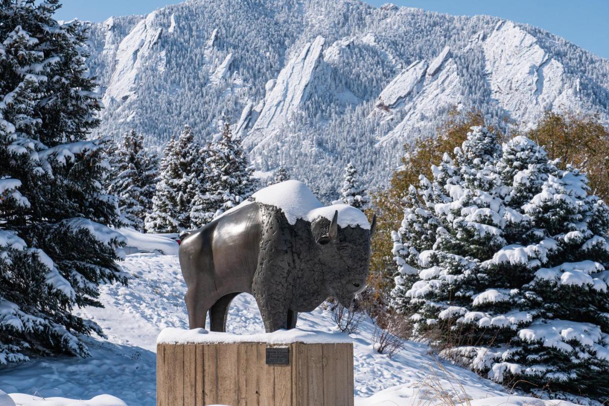 Sculpture of Ralphie, the buffalo, in the snow