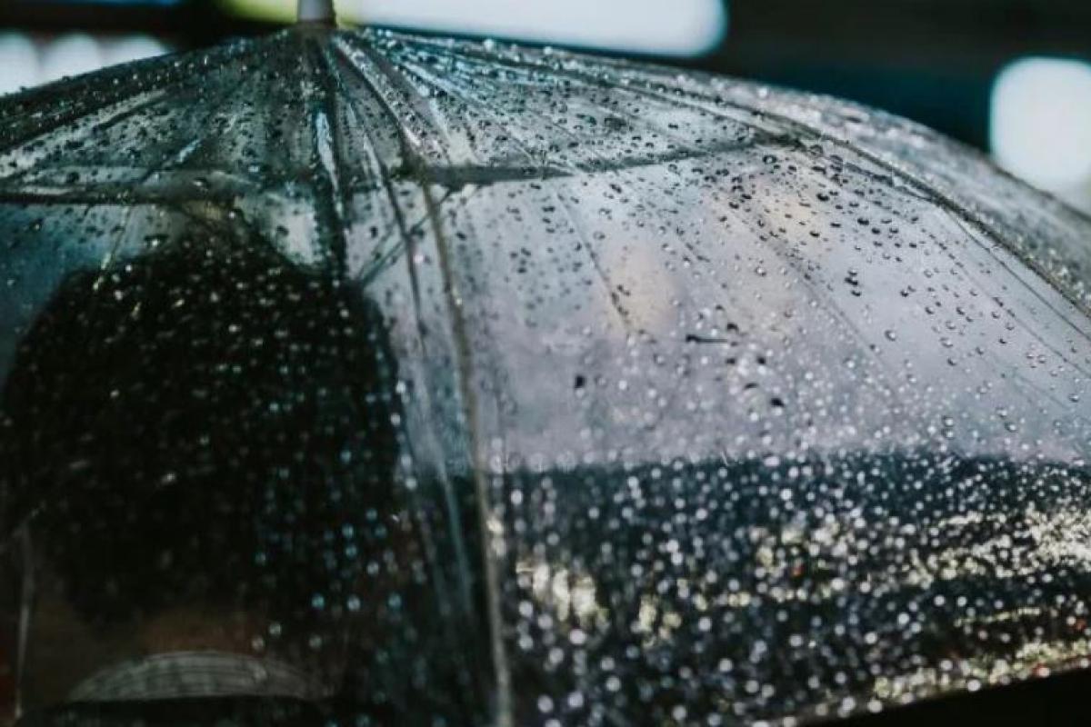 umbrella