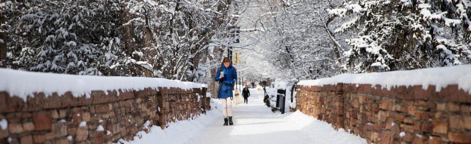 Photo of a student walking over the bridge by Varsity Pond.