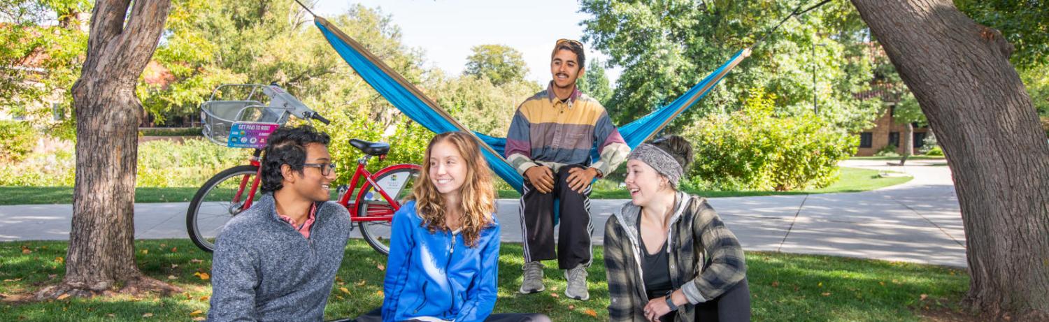 Photo of a group of students sitting on a lawn with a hammock smiling and chatting together.