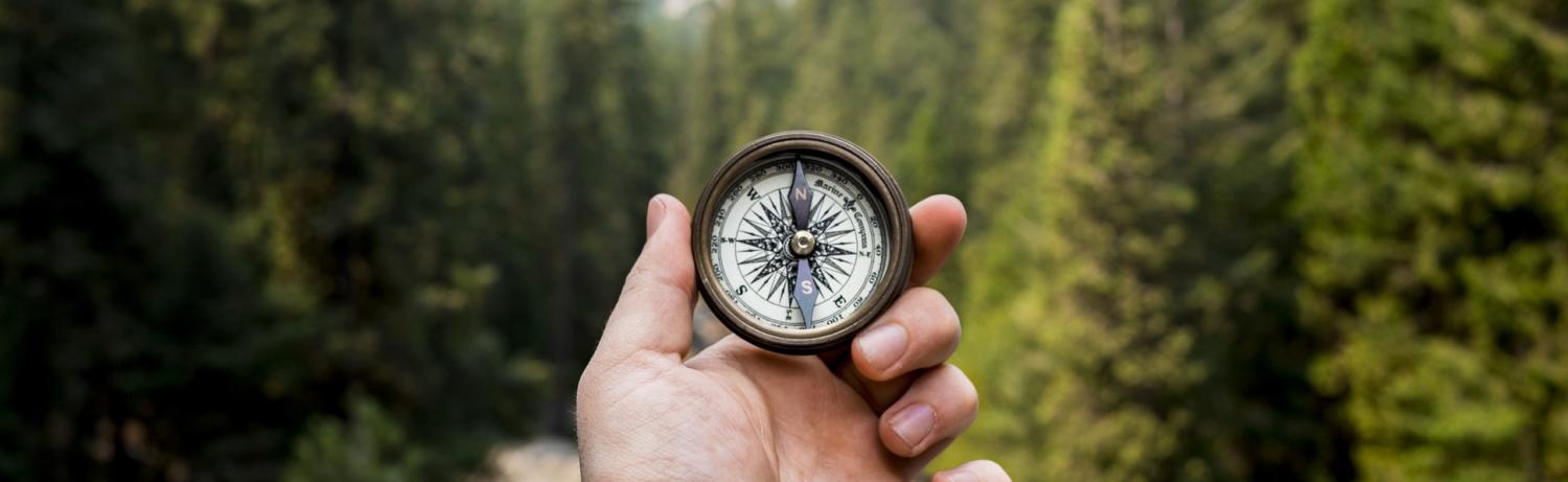 Hand holding a compass pointing north in front of a wooded background of pine trees.