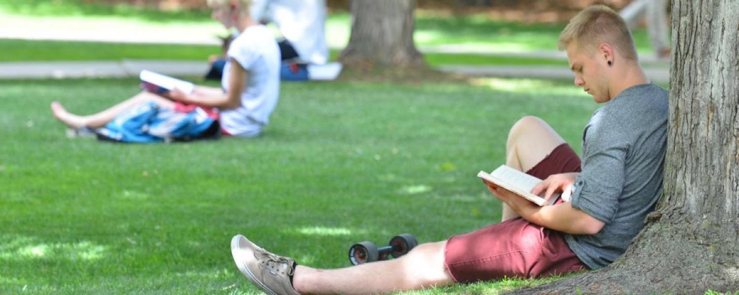 Student studying