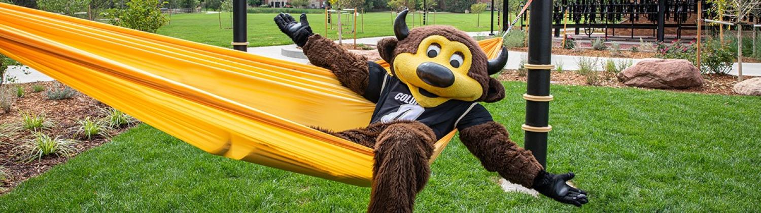 cu boulder mascot chip posing on a hammock