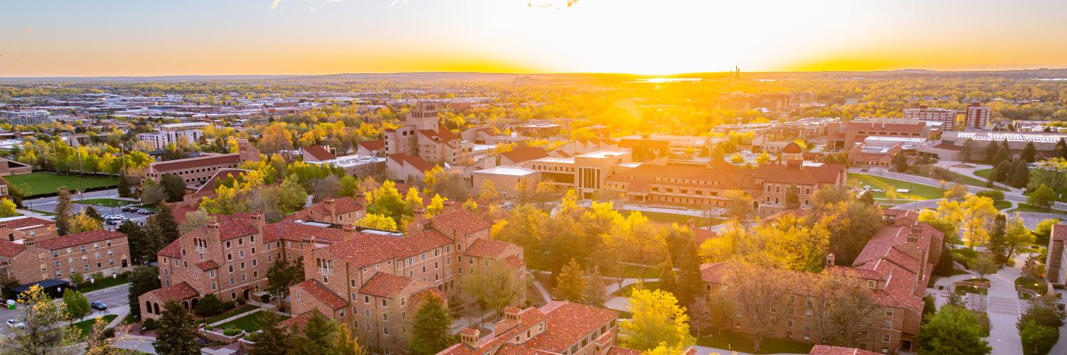 Overhead shot of campus at sunset.
