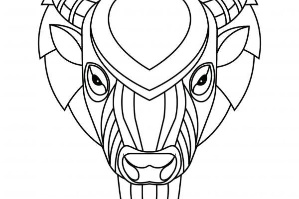 Coloring page of buffalo head