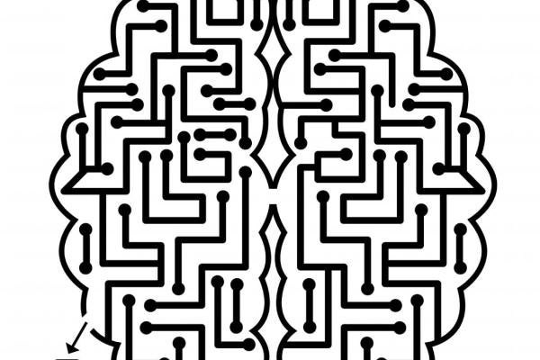 Brain shaped maze