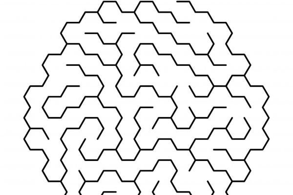 Brain shaped puzzle maze