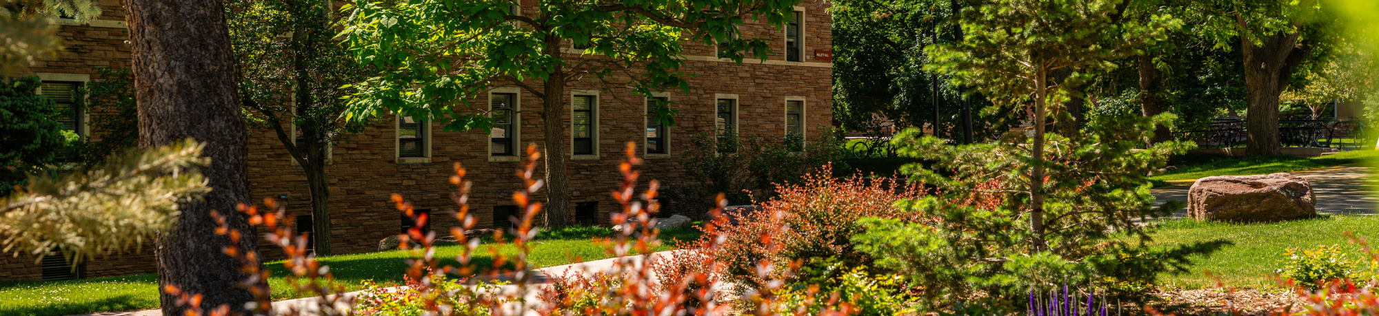 Campus scenic