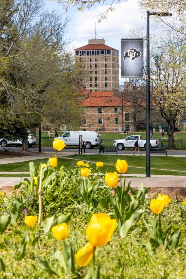 Campus Scenic