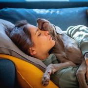 Girl sleeping on the couch with her puppy