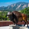 Ralphie sculpture