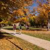 Fall on campus
