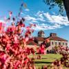 Campus Scenic