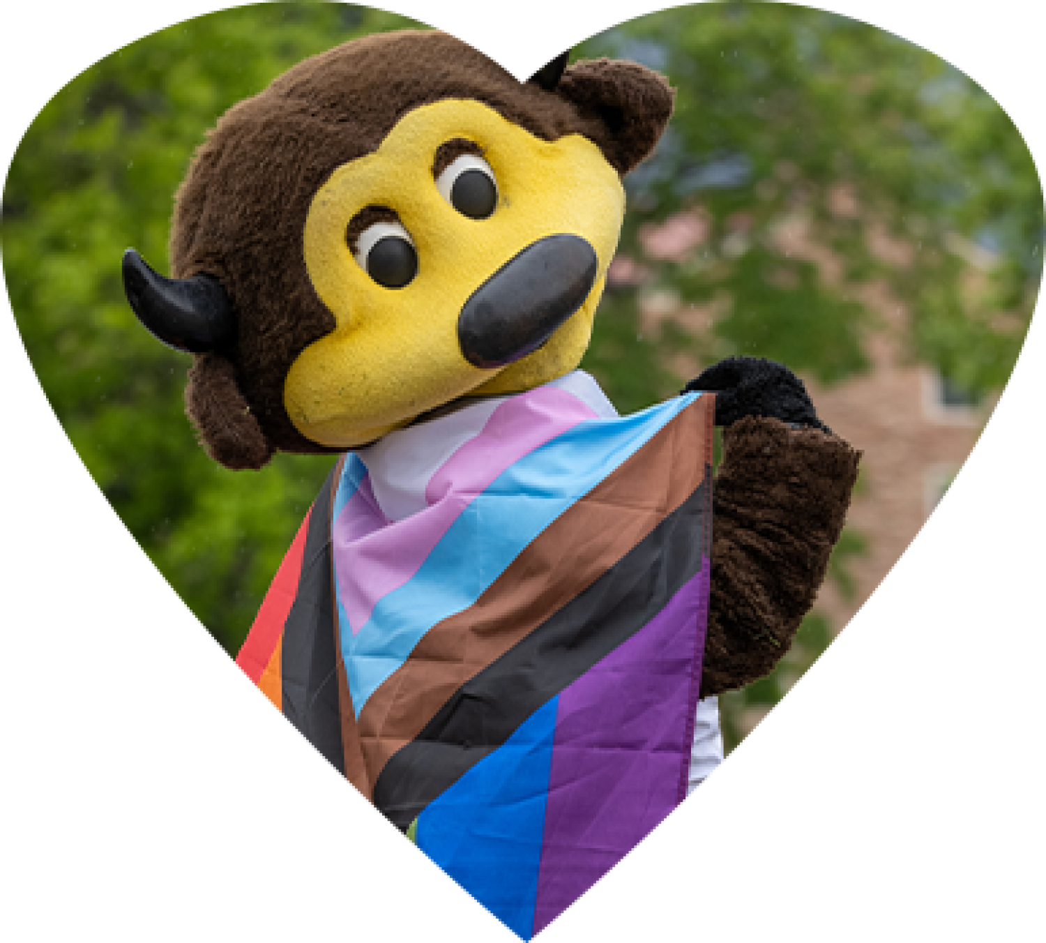 Chip with a Pride flag