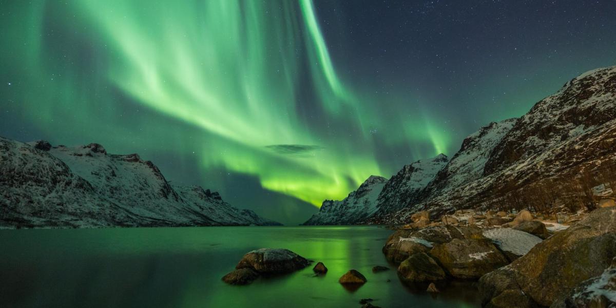 Aurora borealis appearing in the night sky