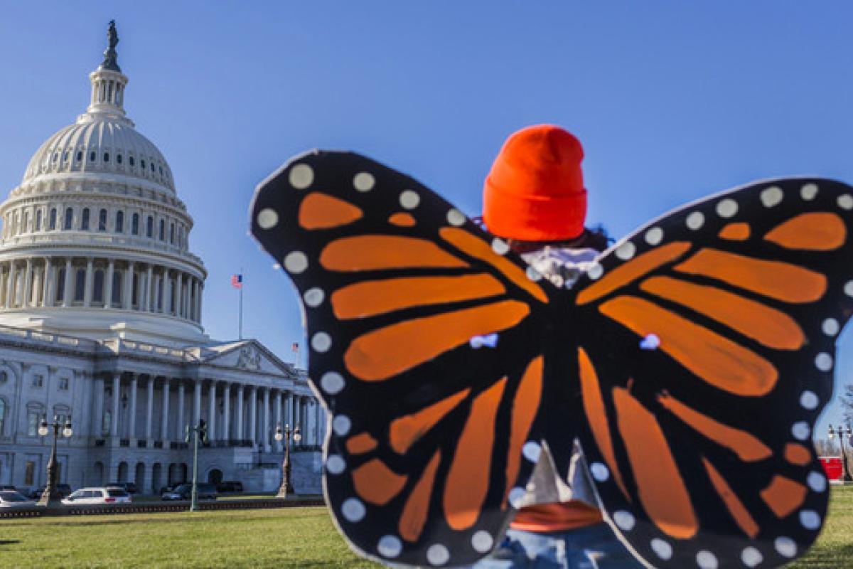 History Stands with Dreamers