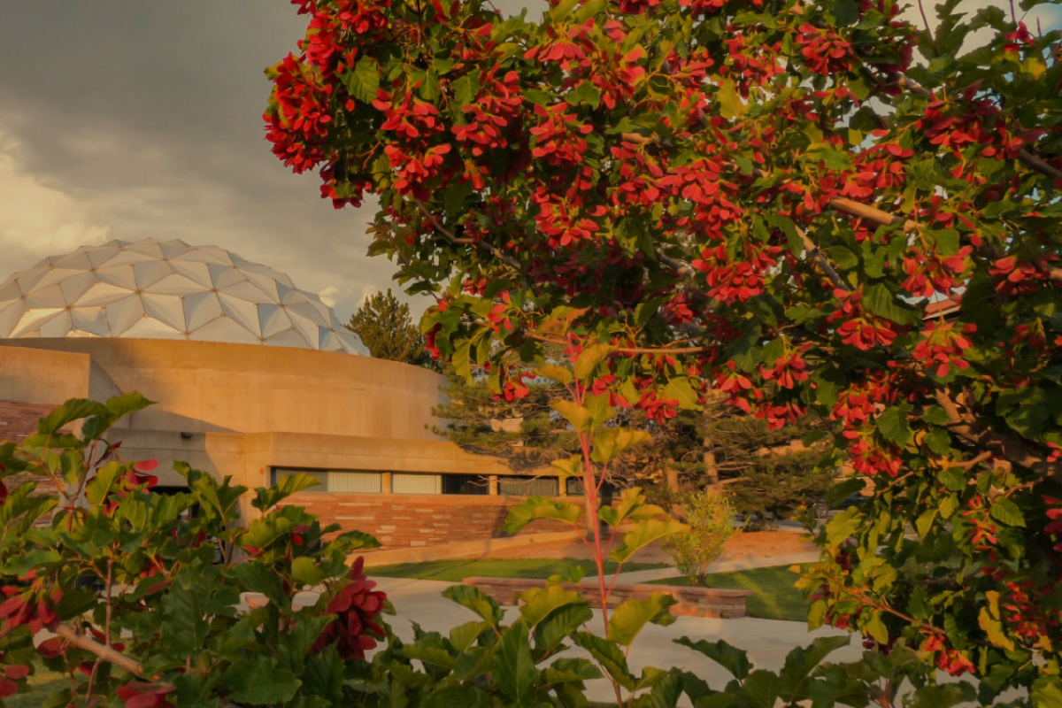 Fiske Planetarium