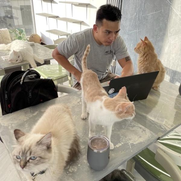 Photo of Mike Tran (and cats)