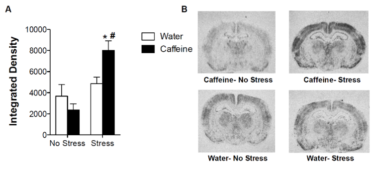 Adolescent Caffeine 6