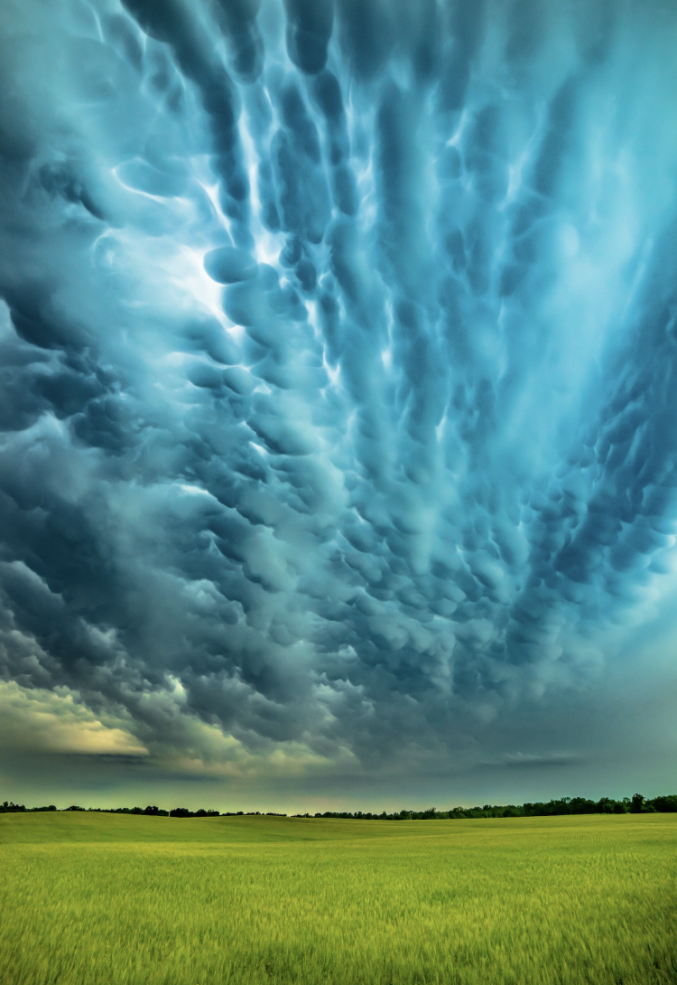Mammatus