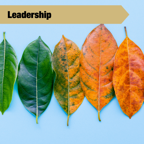 leadership tile with leaves changing color