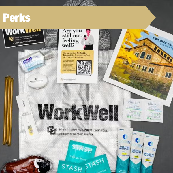 illustration of desk with misc campus paperwork