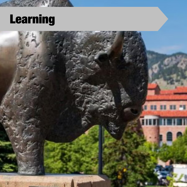 photo of ralphie buffalo statue on campus