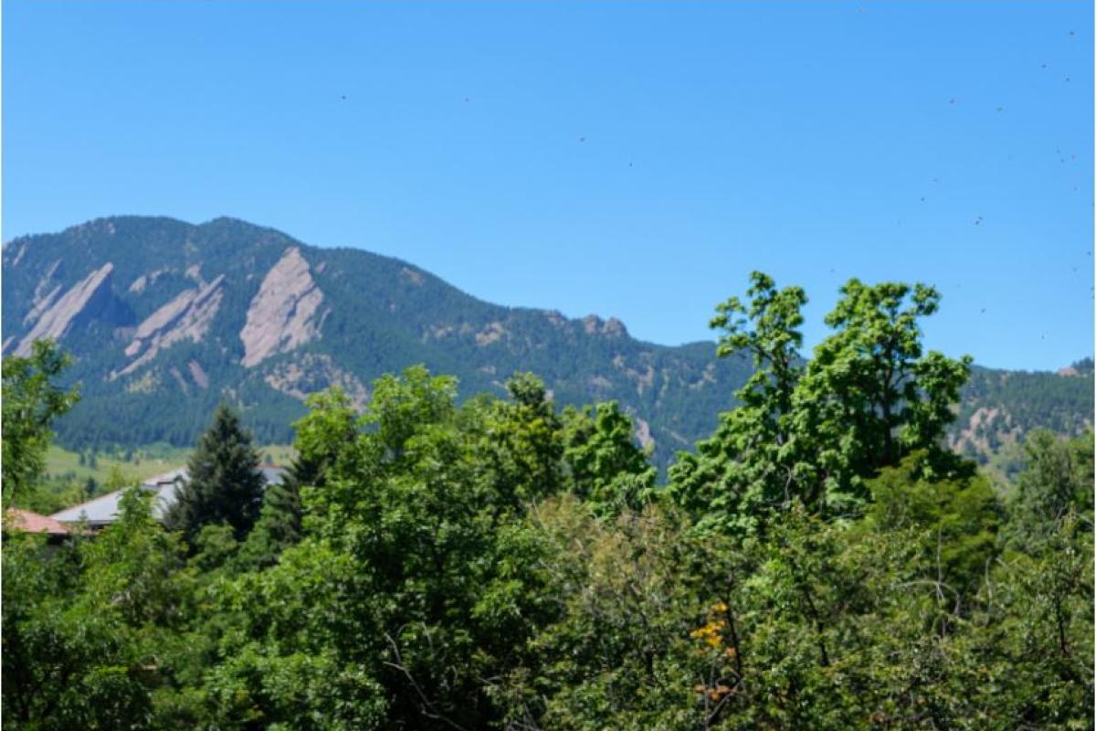 Flatirons in background