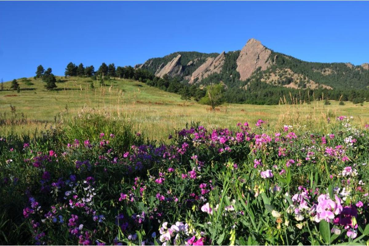 Chautauqua