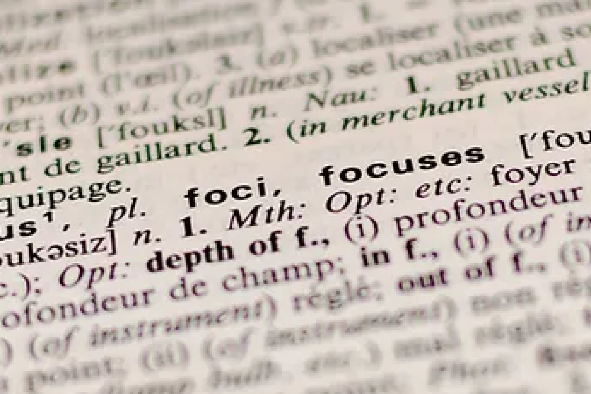 zoomed in photo of text in a glossary