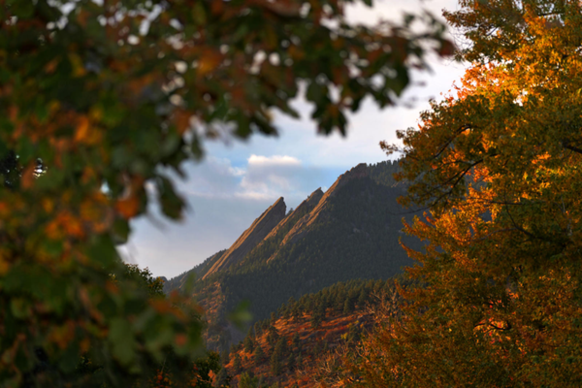 view of the flatirons with leaves in the perimeter