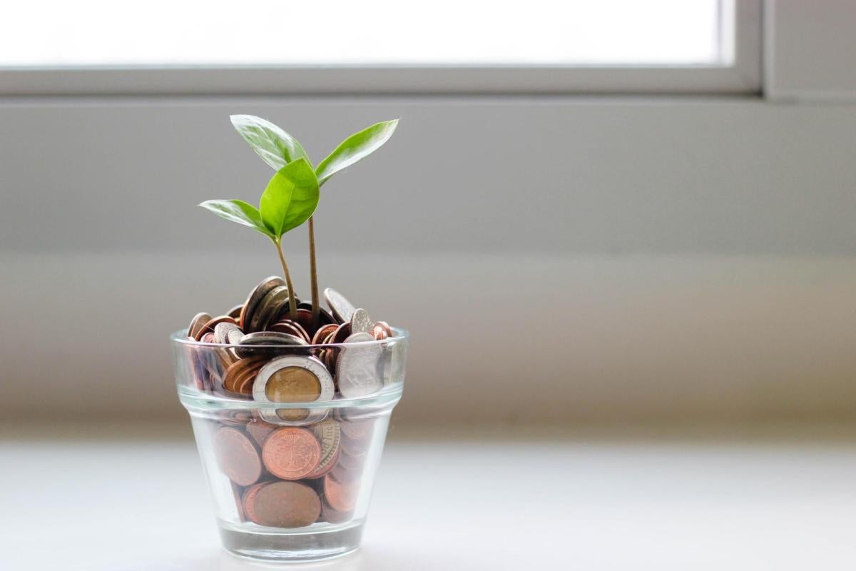 Money in a pot
